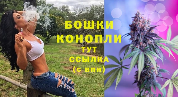 стаф Богданович